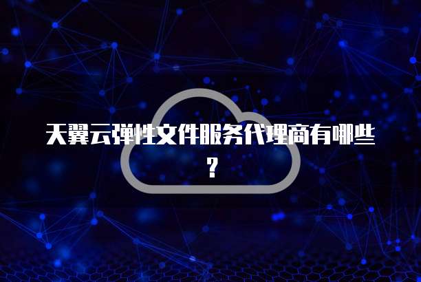 天翼云弹性文件服务代理商有哪些？