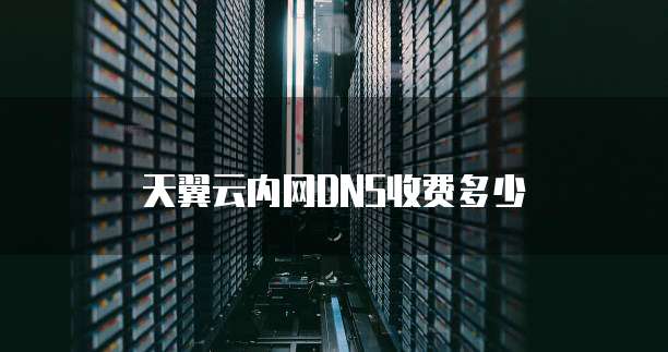 天翼云内网DNS收费多少
