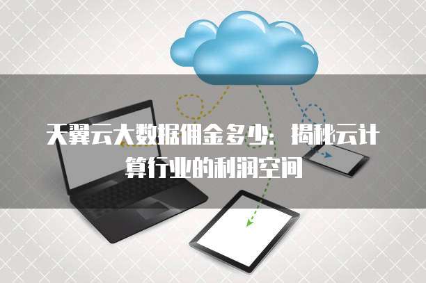 天翼云大数据佣金多少:揭秘云计算行业的利润空间