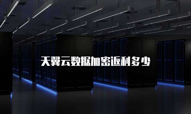 天翼云数据加密返利多少