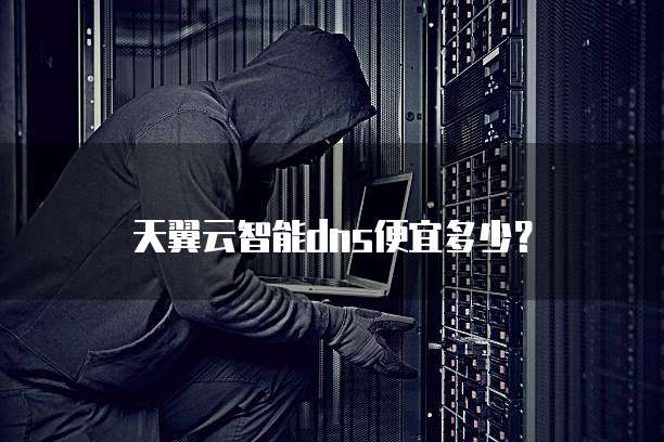 天翼云智能dns便宜多少?