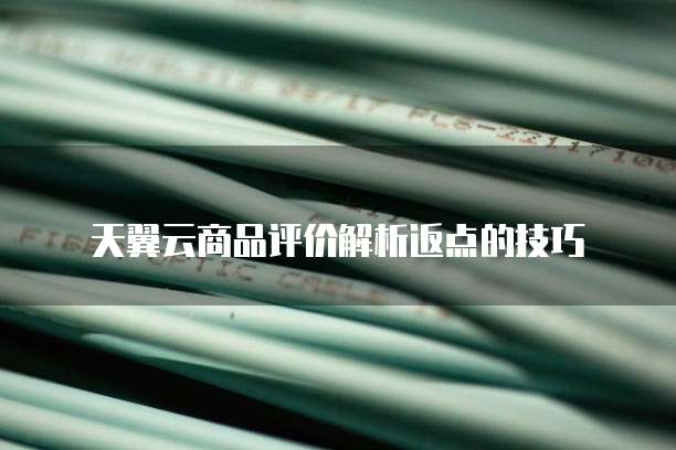 天翼云商品评价解析返点的技巧