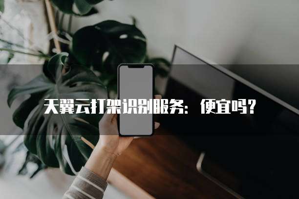 天翼云打架识别服务:便宜吗?