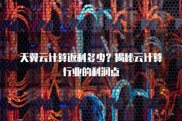 天翼云计算返利多少？揭秘云计算行业的利润点

