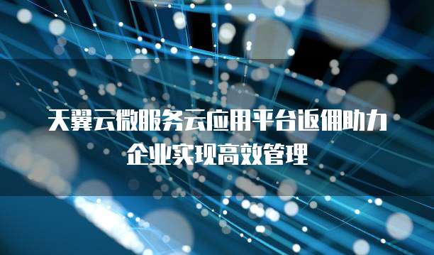 天翼云微服务云应用平台返佣助力企业实现高效管理