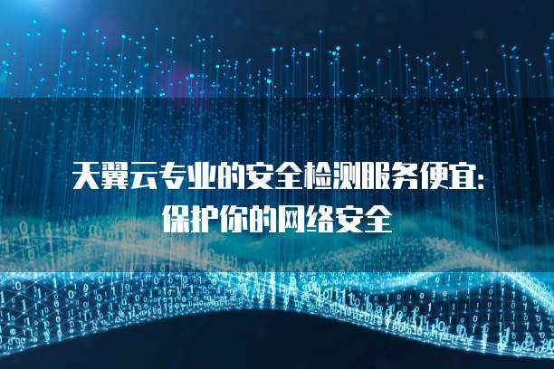 天翼云专业的安全检测服务便宜:保护你的网络安全