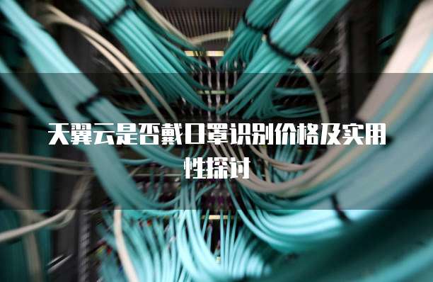 天翼云是否戴口罩识别价格及实用性探讨