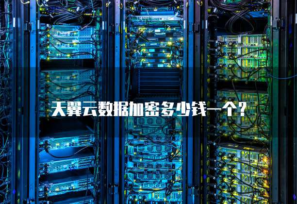 天翼云数据加密多少钱一个?