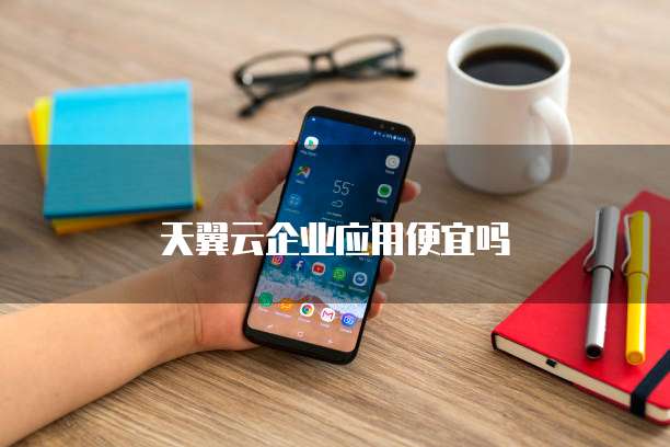天翼云企业应用便宜吗