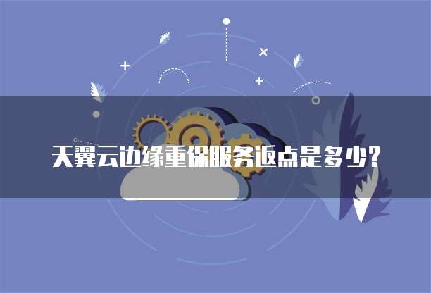 天翼云边缘重保服务返点是多少？