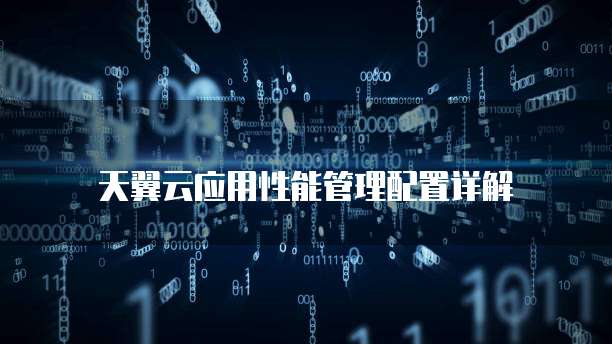天翼云应用性能管理配置详解