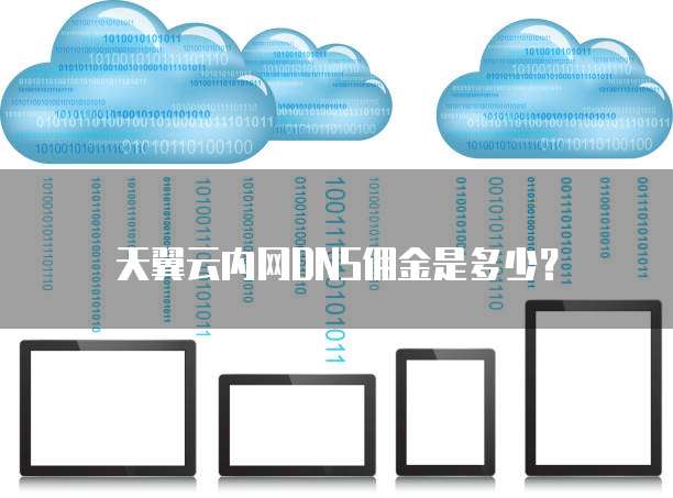 天翼云内网DNS佣金是多少？