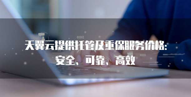 天翼云提供托管及重保服务价格:安全、可靠、高效