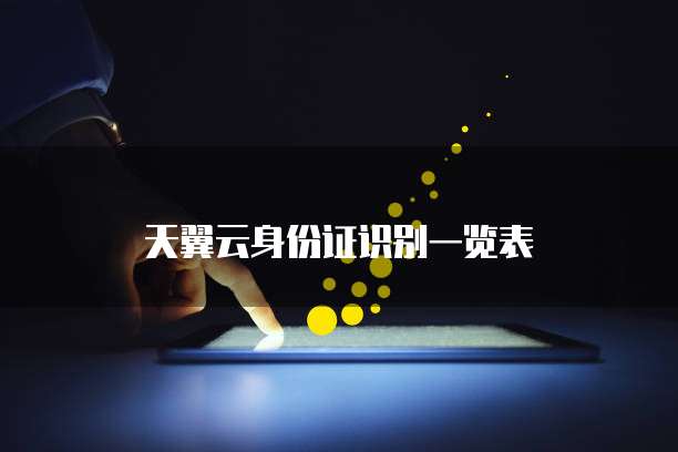 天翼云身份证识别一览表