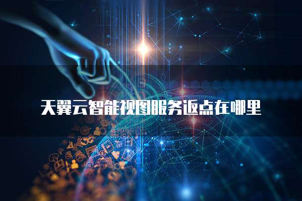 天翼云智能视图服务返点在哪里