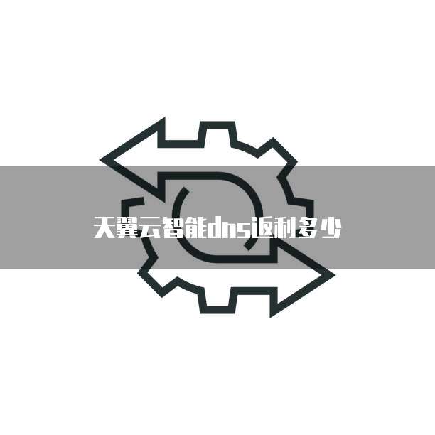 天翼云智能dns返利多少