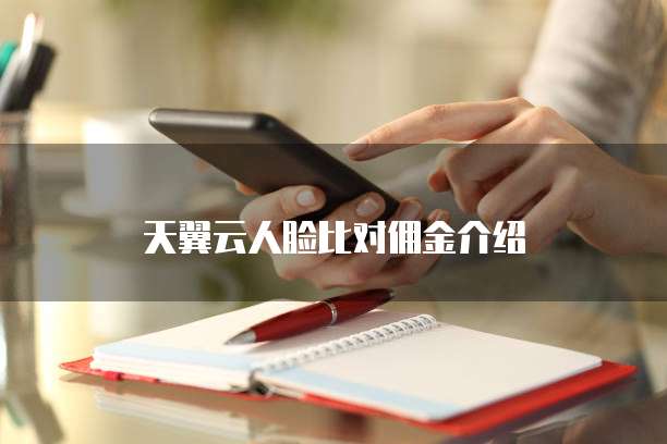天翼云人脸比对佣金介绍