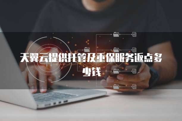 天翼云提供托管及重保服务返点多少钱