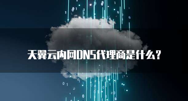 天翼云内网DNS代理商是什么？