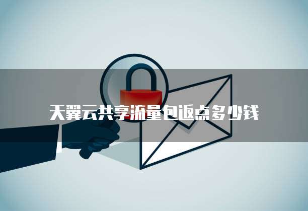 天翼云共享流量包返点多少钱