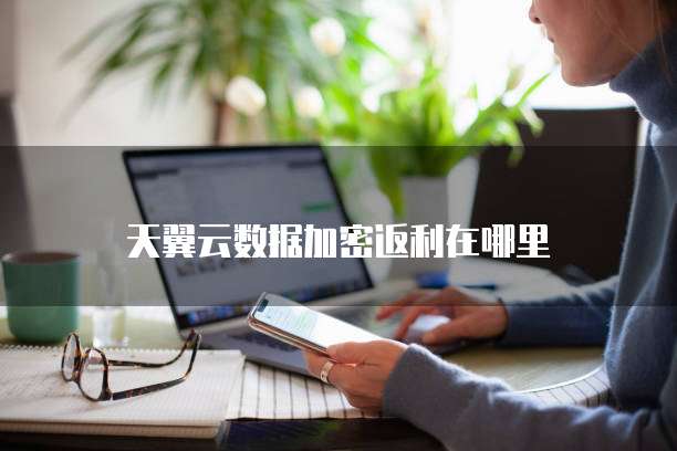 天翼云数据加密返利在哪里
