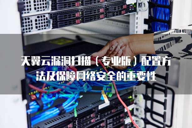 天翼云漏洞扫描(专业版)配置方法及保障网络安全的重要性