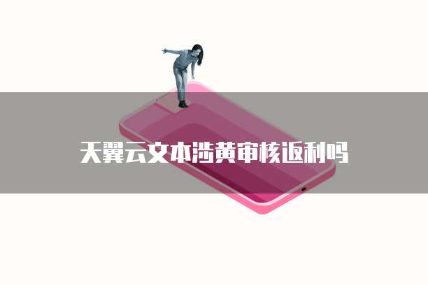天翼云文本涉黄审核返利吗