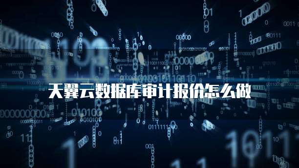 天翼云数据库审计报价怎么做