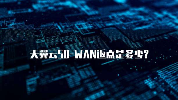 天翼云SD-WAN返点是多少?