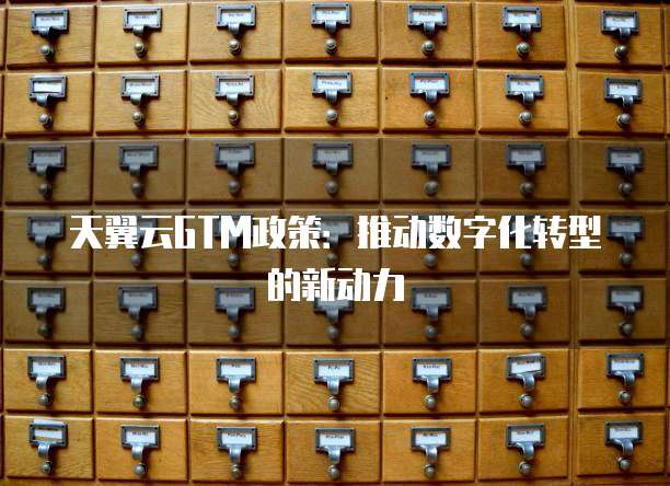 天翼云GTM政策：推动数字化转型的新动力