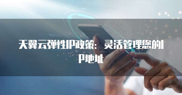 天翼云弹性IP政策:灵活管理您的IP地址