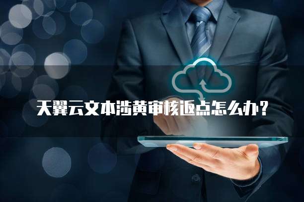 天翼云文本涉黄审核返点怎么办?