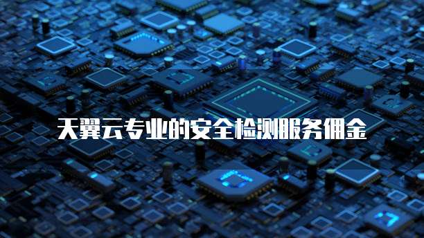 天翼云专业的安全检测服务佣金