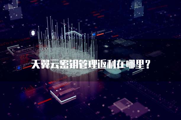 天翼云密钥管理返利在哪里?