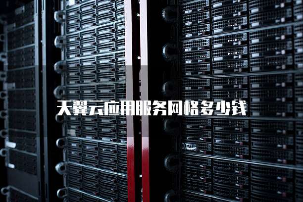 天翼云应用服务网格多少钱