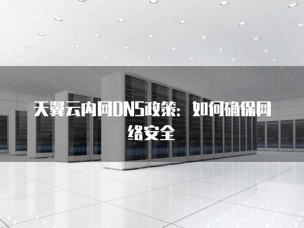 天翼云内网DNS政策：如何确保网络安全