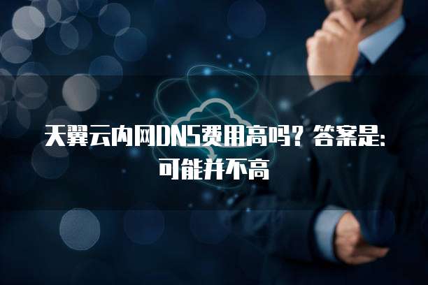 天翼云内网DNS费用高吗？答案是：可能并不高