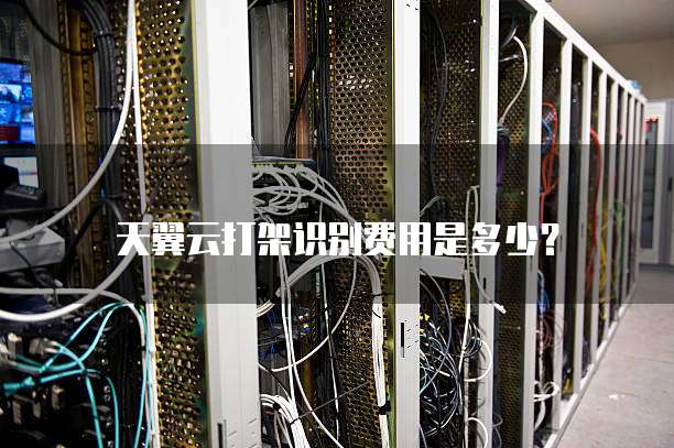 天翼云打架识别费用是多少?