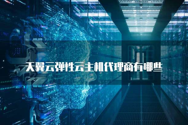 天翼云弹性云主机代理商有哪些