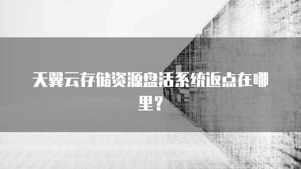 天翼云存储资源盘活系统返点在哪里?
