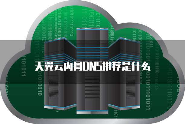 天翼云内网DNS推荐是什么
