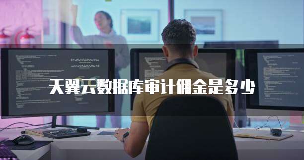 天翼云数据库审计佣金是多少