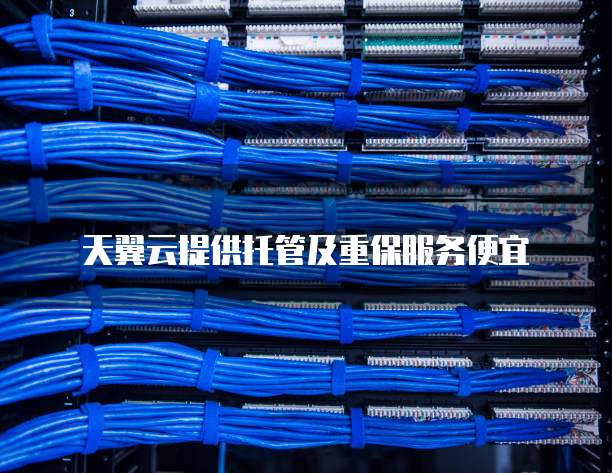 天翼云提供托管及重保服务便宜