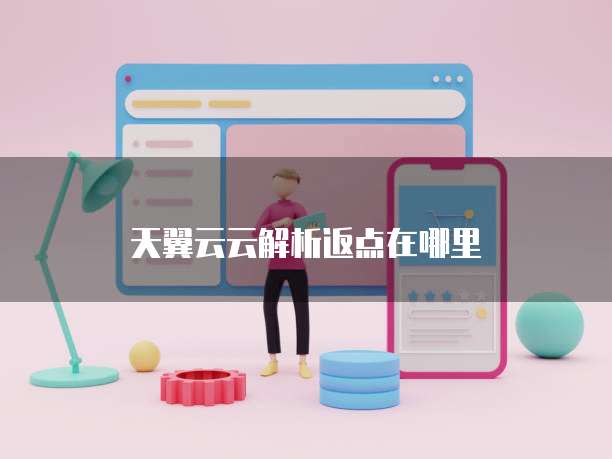 天翼云云解析返点在哪里