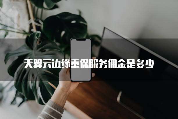 天翼云边缘重保服务佣金是多少