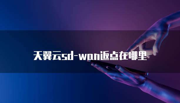 天翼云sd-wan返点在哪里