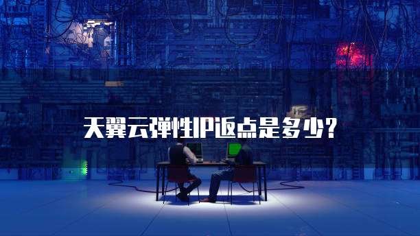 天翼云弹性IP返点是多少?