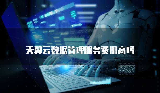 天翼云数据管理服务费用高吗
