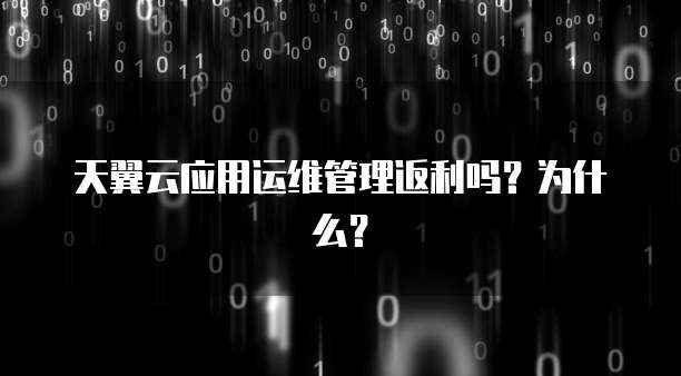 天翼云应用运维管理返利吗？为什么？