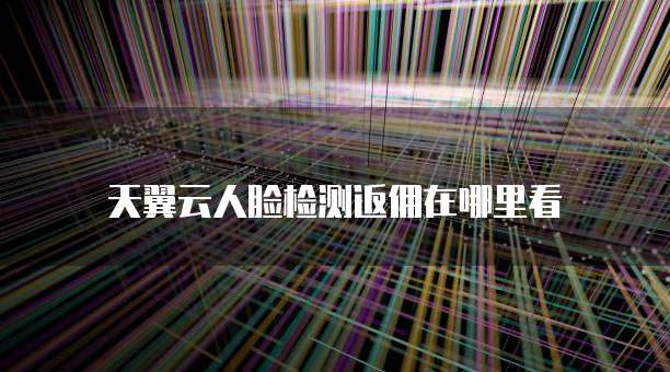 天翼云人脸检测返佣在哪里看